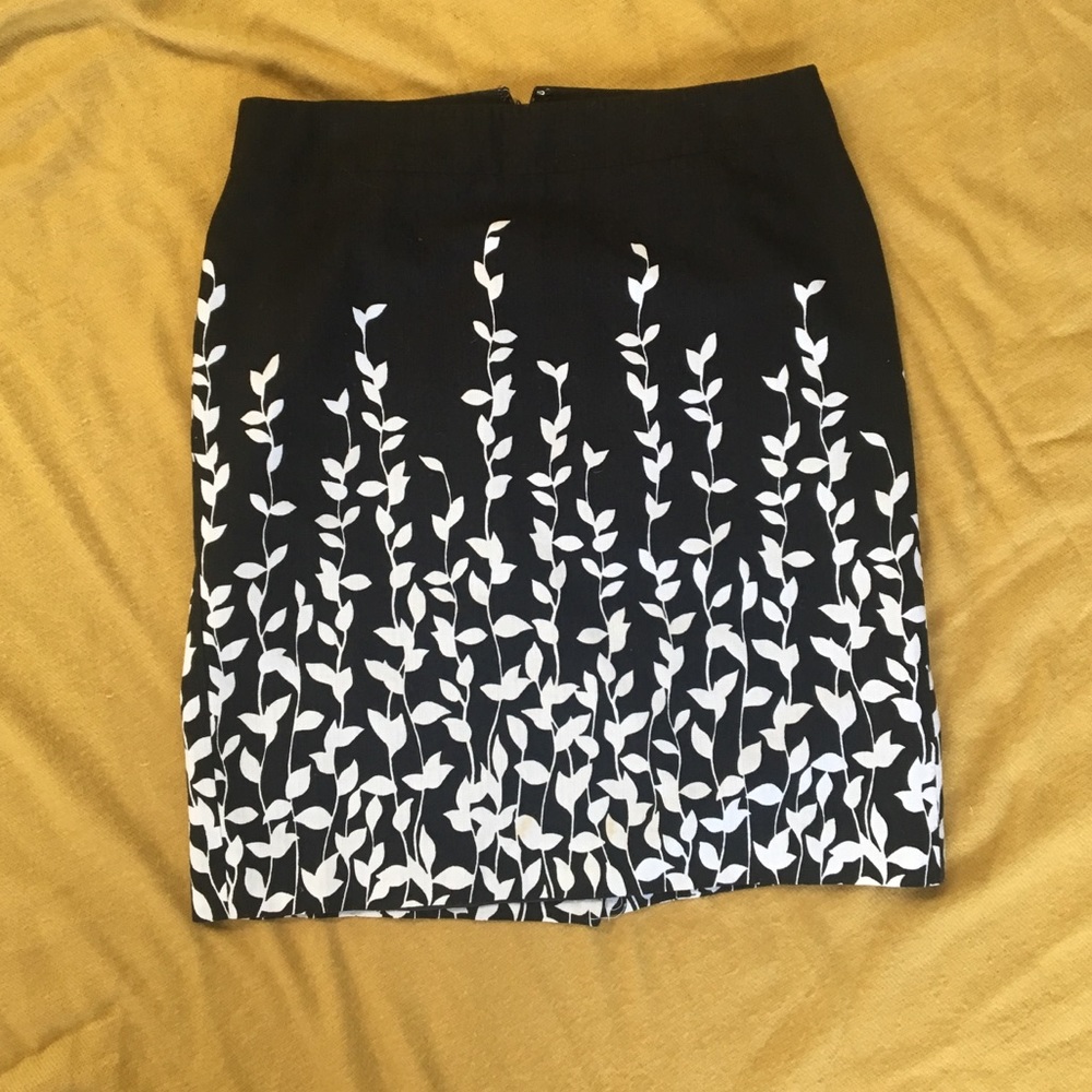 Ann Taylor skirt